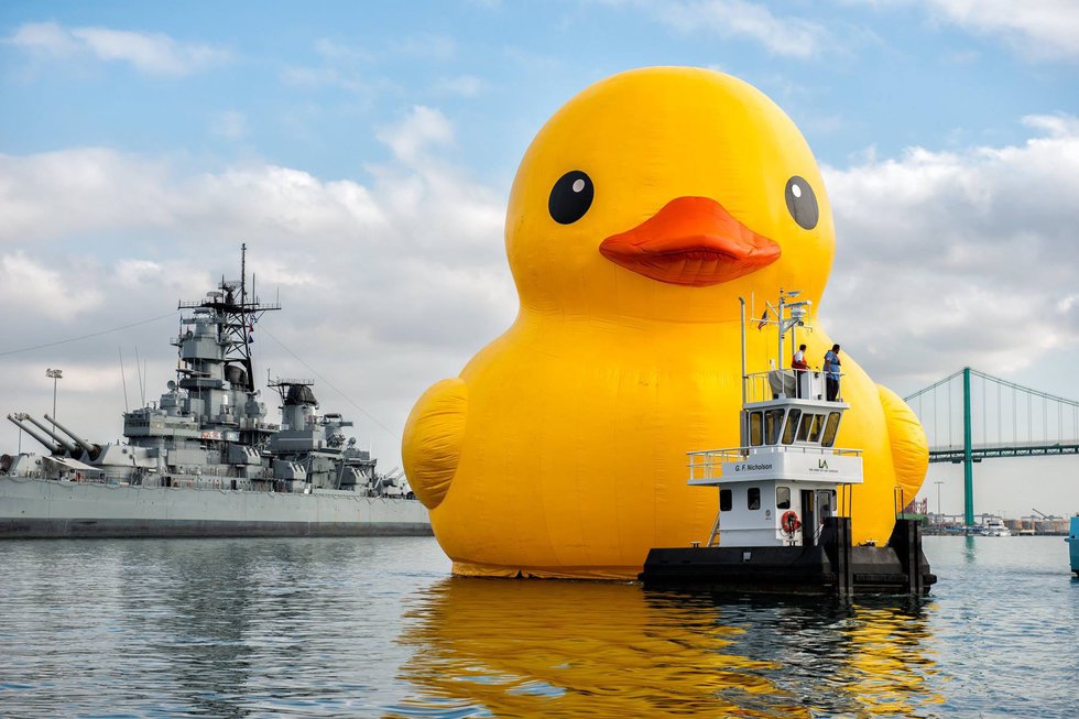 Big duck